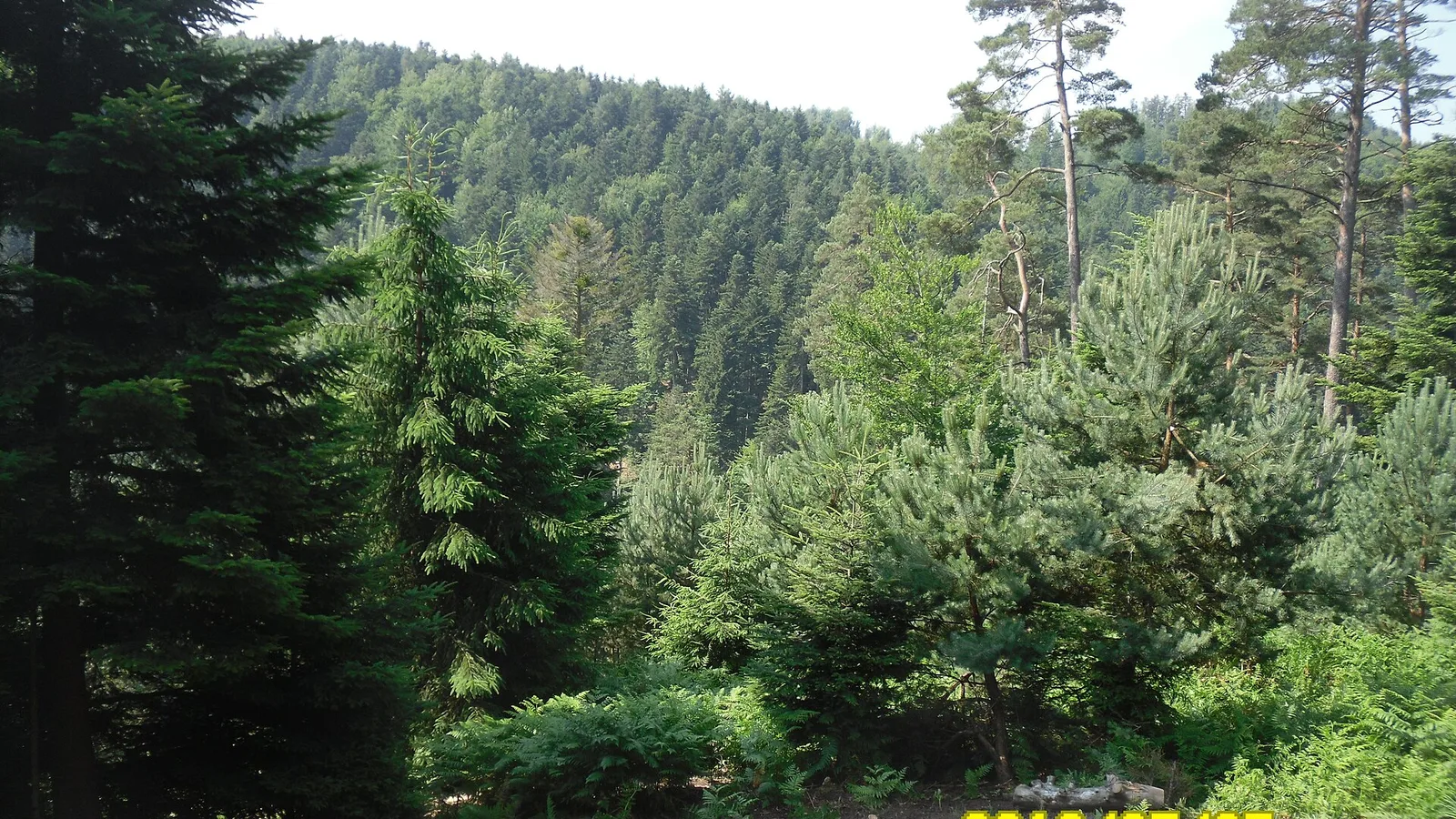 Paysage du territoire de Montées du Daubenschlag
