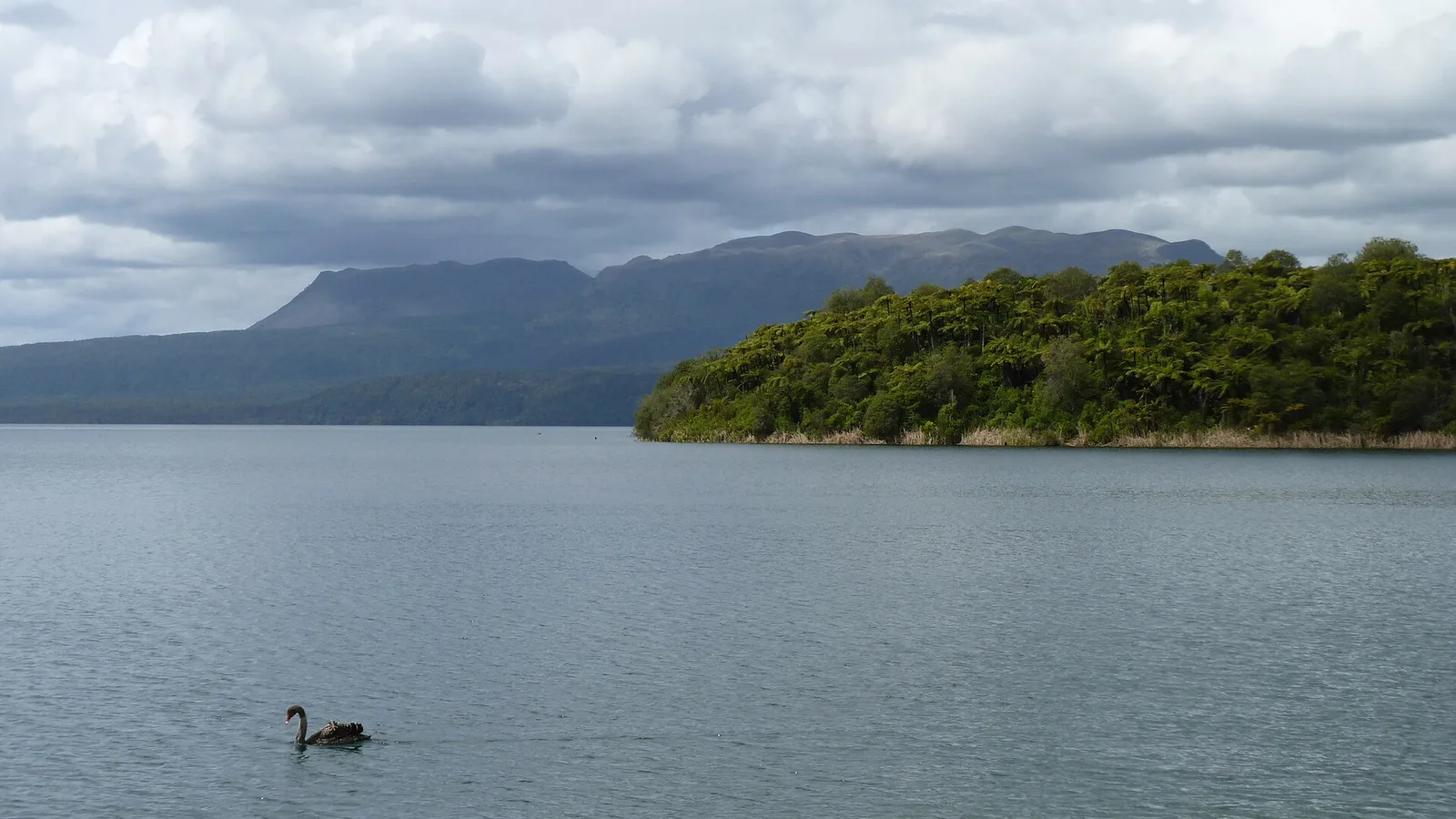 Paysage du territoire de Tarawera Ultra-Trail by UTMB — Rotorua