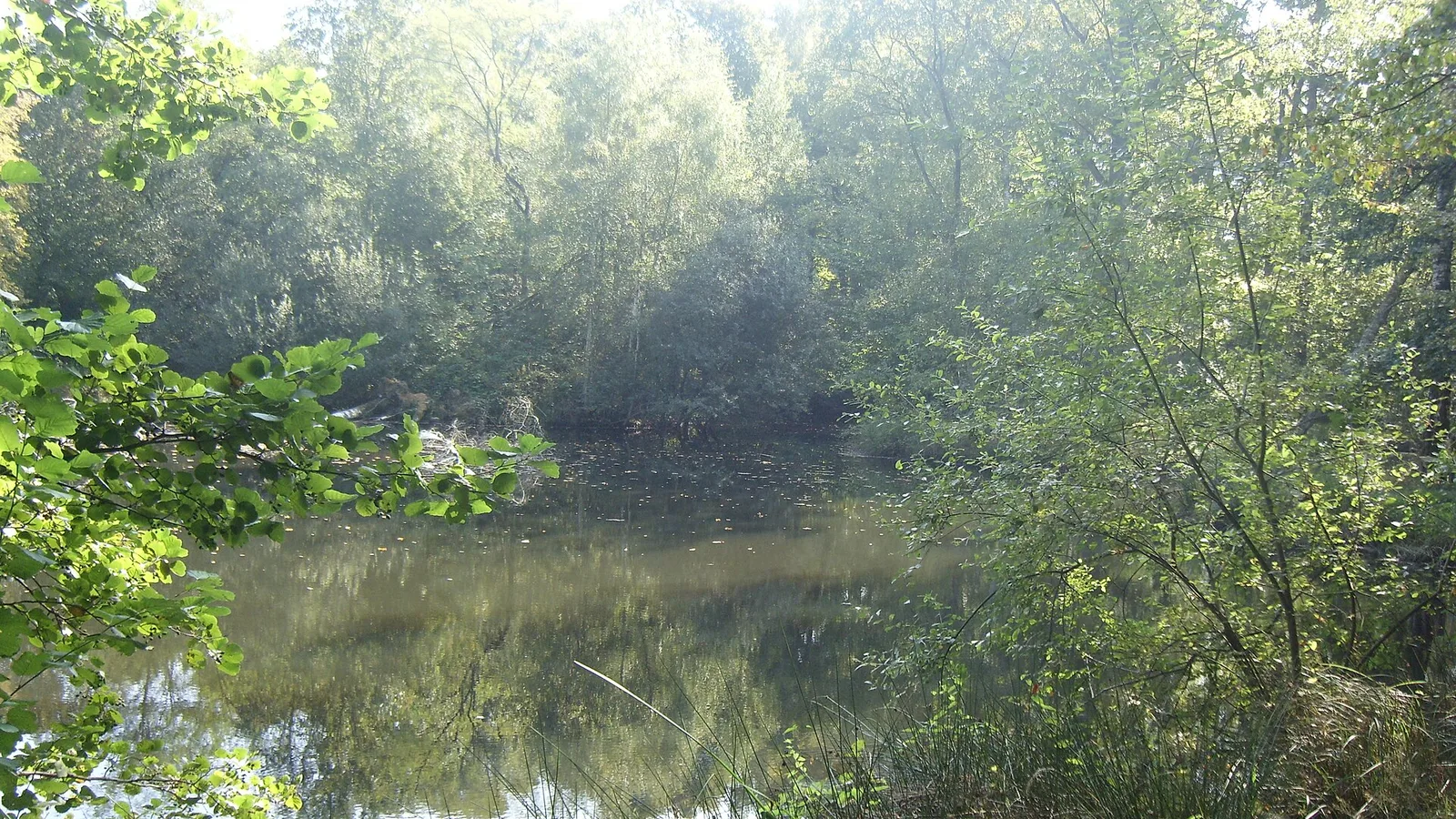 Paysage du territoire de Trail du Bois Louis