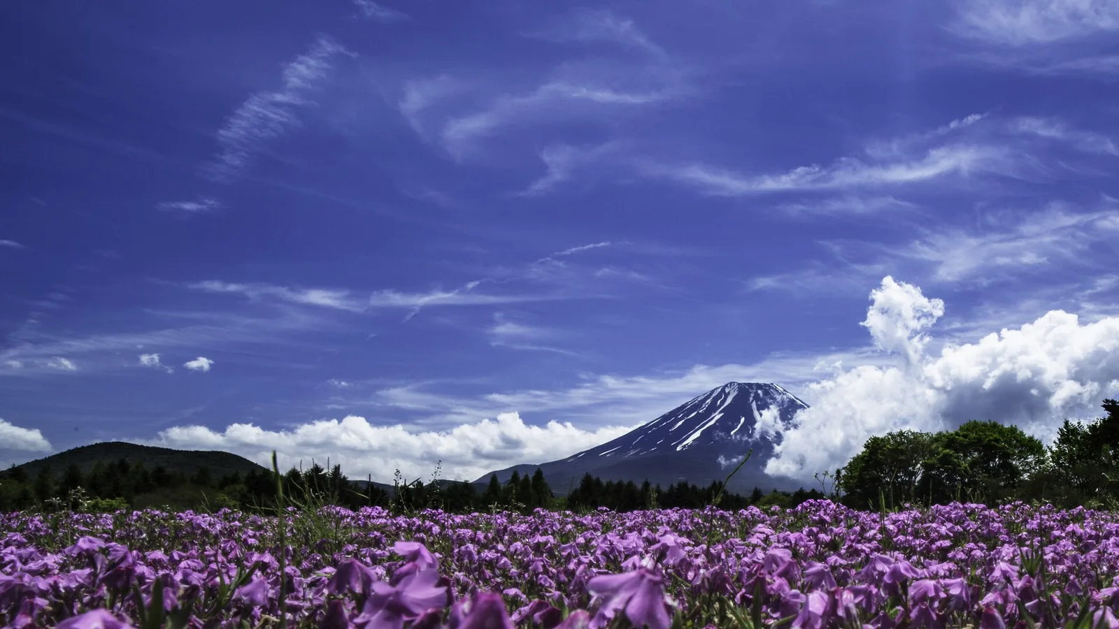 Paysage du territoire de Ultra-Trail Mt. Fuji — FUJI