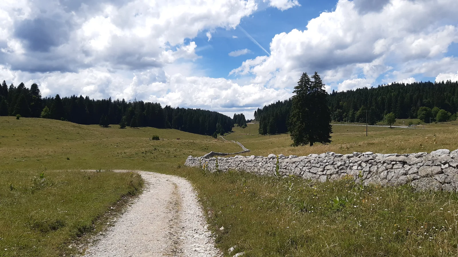 Sentier et pâturages du massif du Jura près de La Cure