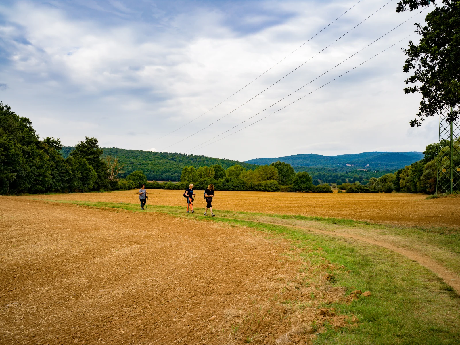 Via Francigena dans la campagne toscane près de Sienne